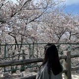 Picture of 笠松 ゆい